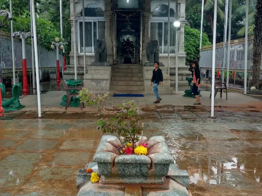 is visible in this image