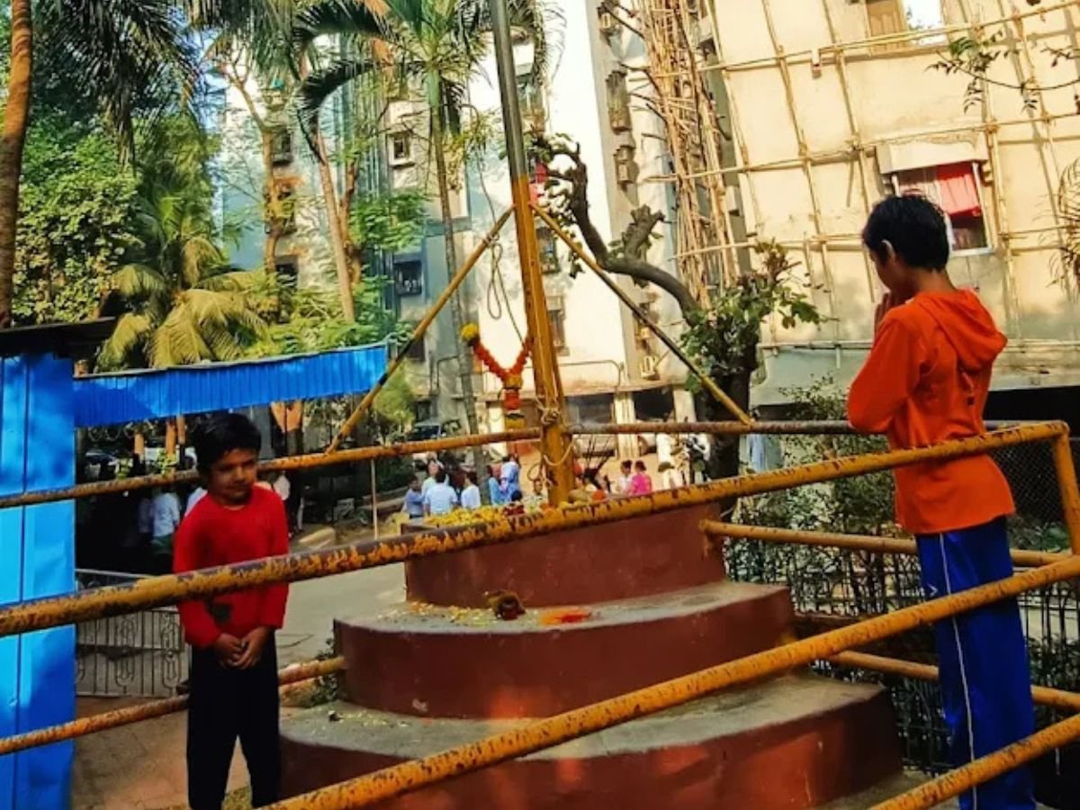 is visible in this image