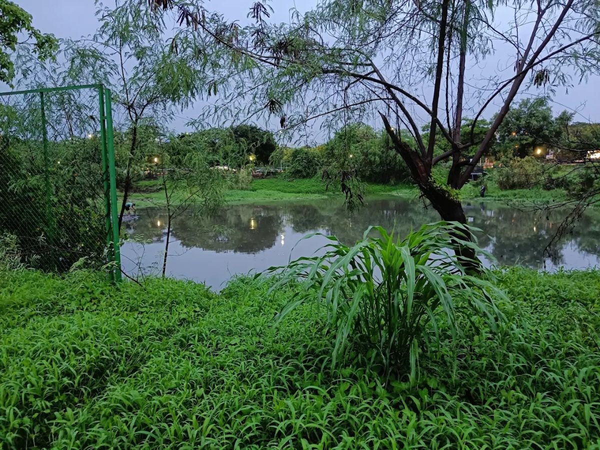 is visible in this imagw