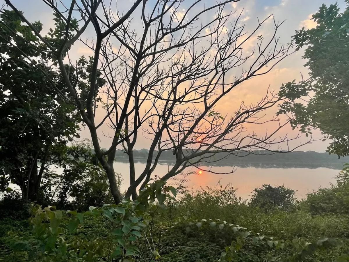 is viisble in this image