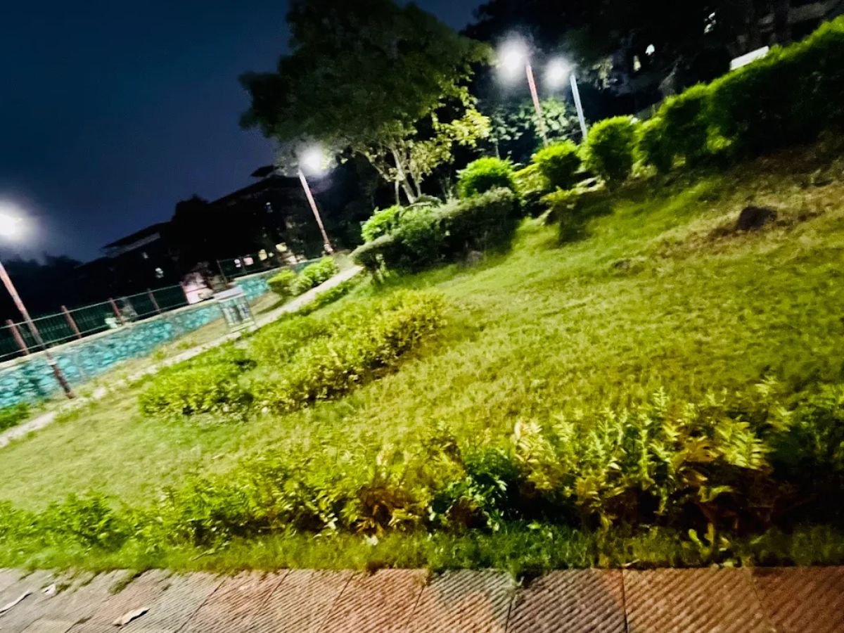 is visible in this image