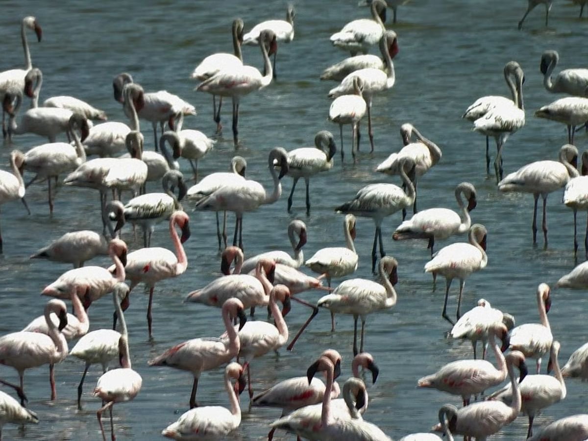 is visible in this image