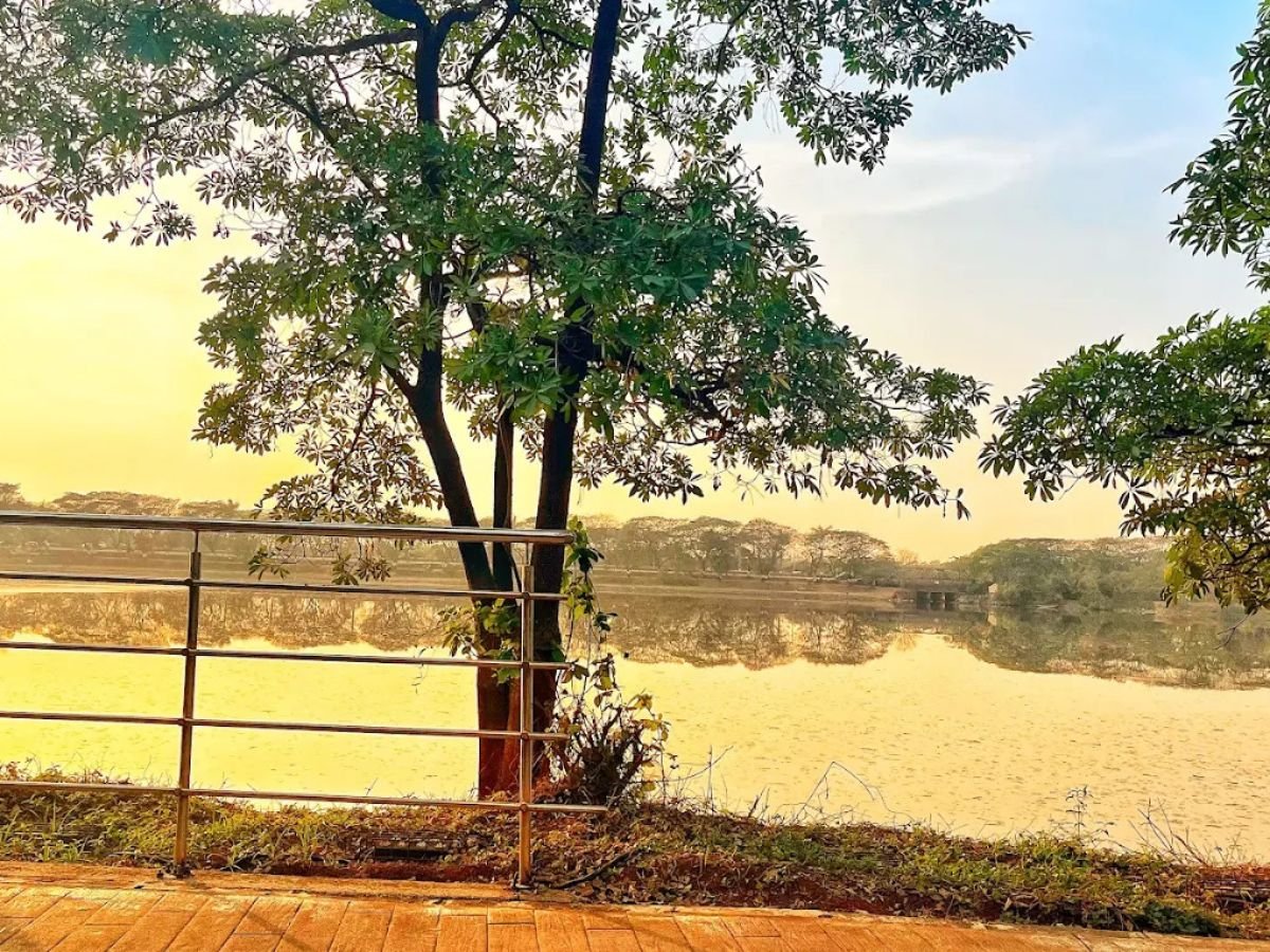 is viible in this image