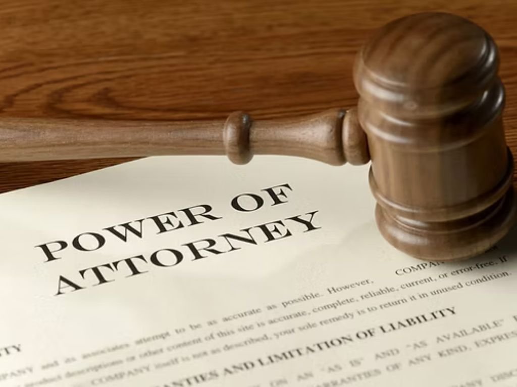 is visible in this image