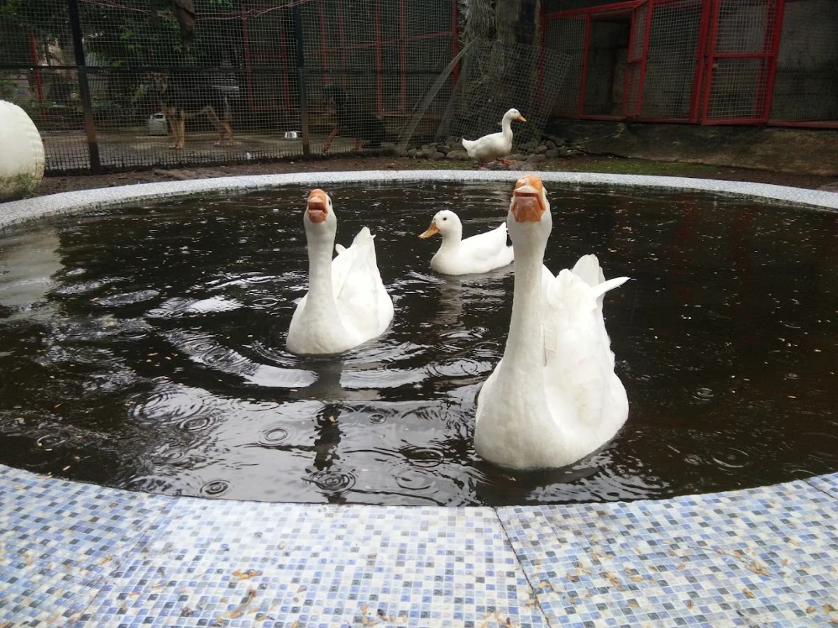 is visible in this image