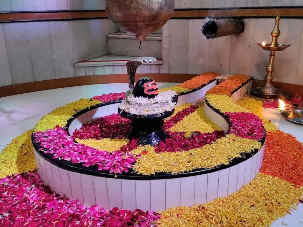 is visible in this image