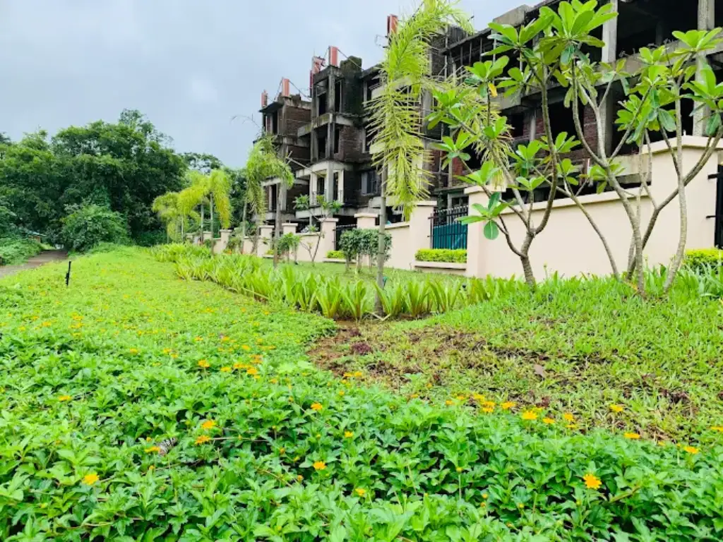 space india is viisble in this image