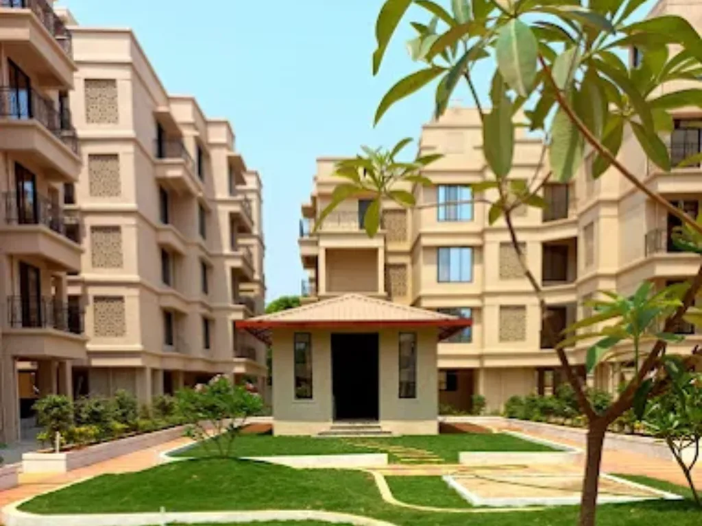 space india is viisble in this image