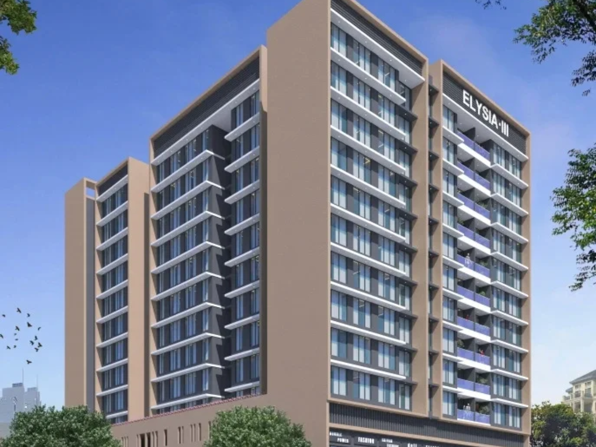 Misha Developers Project Visual